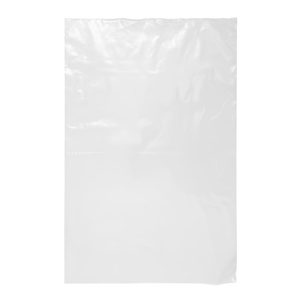 11 by 17 inch large transparent poly bag for organizing documents and prints.