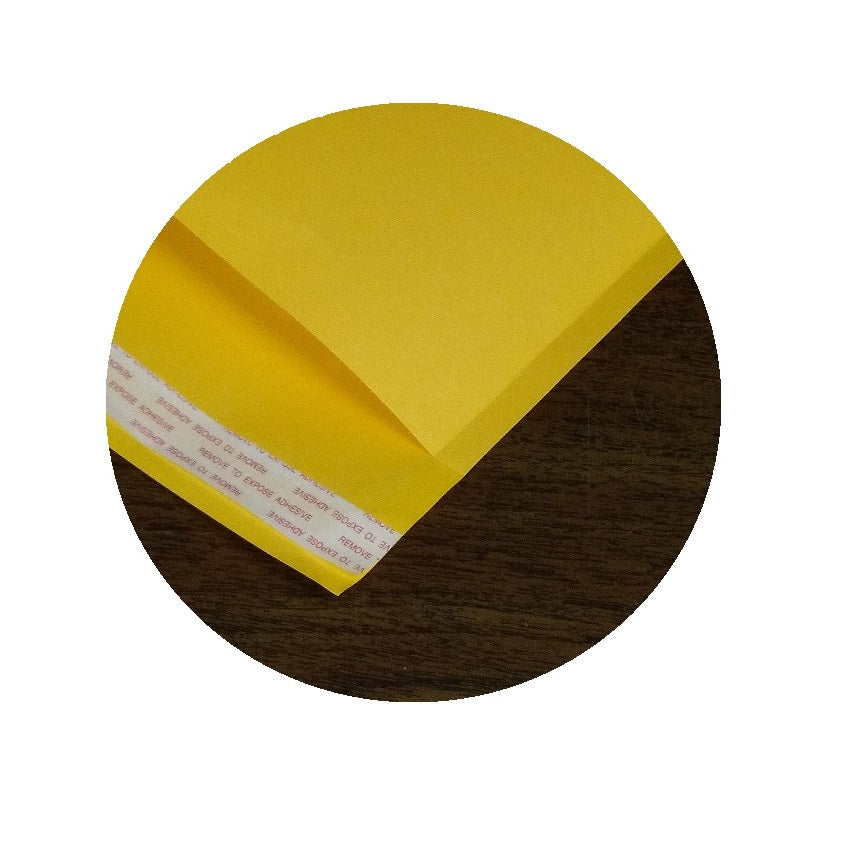 9" x 12" Self-Seal Envelopes 100/pack