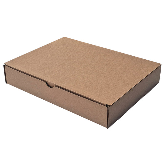 Brown kraft 11 1/8 x 8 3/4 x 2 literature mailer box closed. Eco shipping box for catalogs, magazines & apparel.