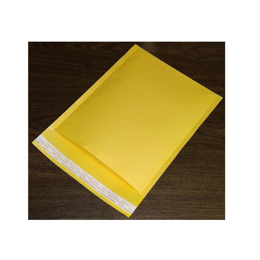 6" x 9" Self-Seal Envelopes 500/case